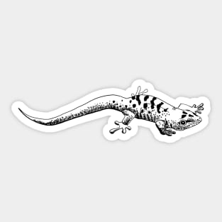 gecko Sticker